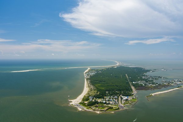 Quels sont les meilleurs spots pour observer les dauphins dans les eaux de la baie de Kaikoura en Nouvelle-Zélande?